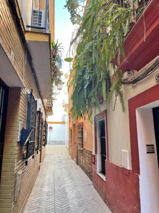 Barrio De Santa Cruz, La Juderia. Zona Inmejorable Appartement Sevilla